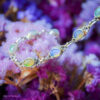 BRAC005B